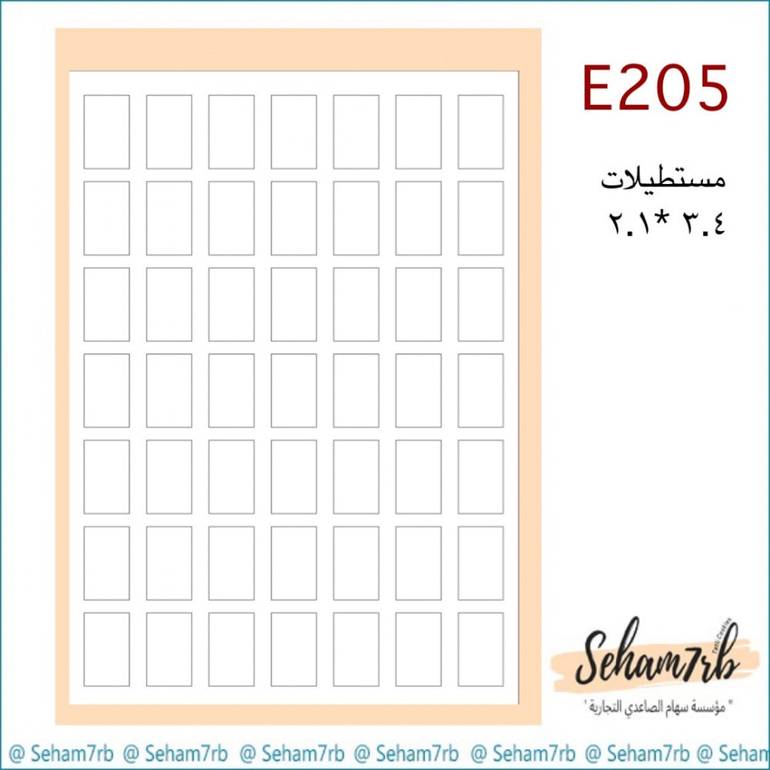 E205