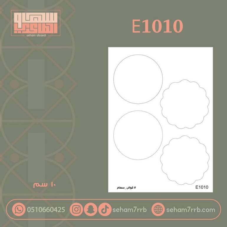 E1010