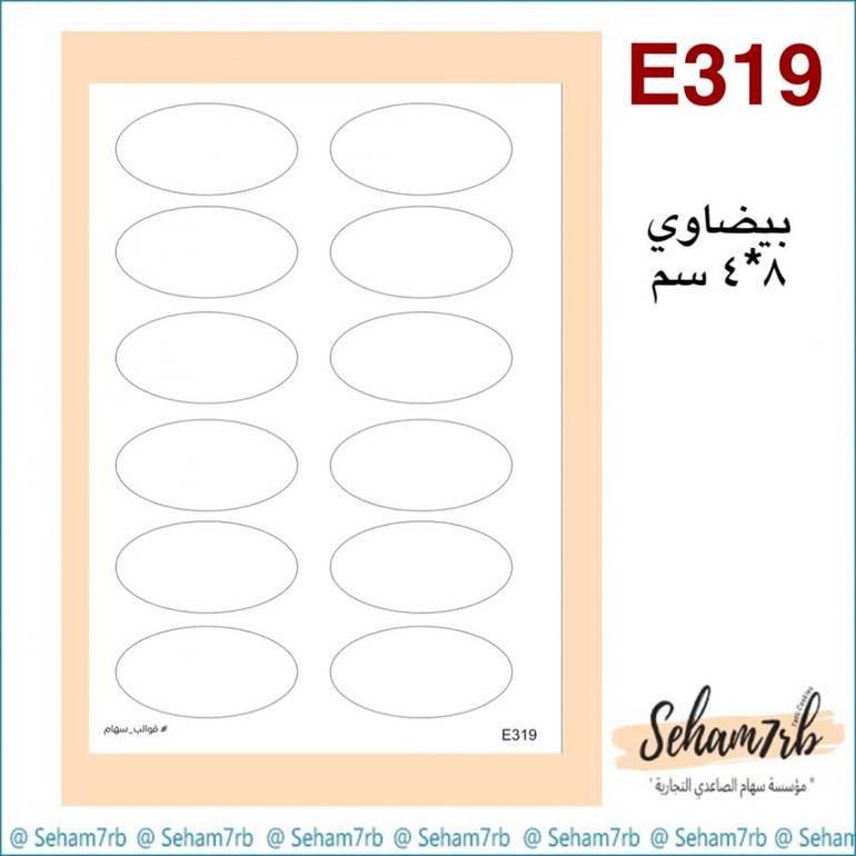 E319