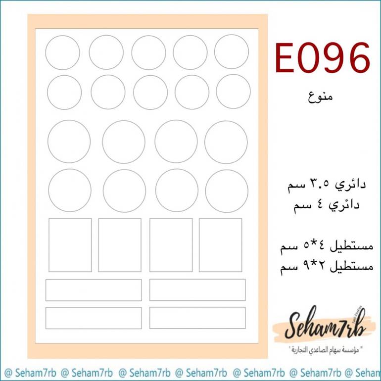 E096
