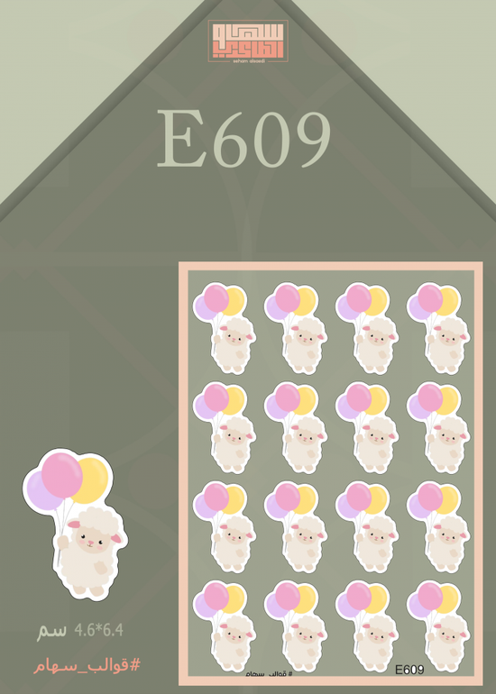 E609
