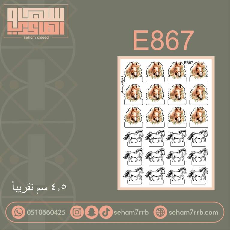 E867