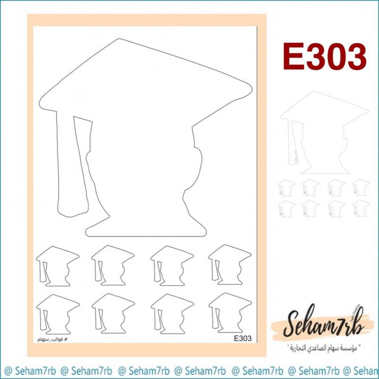 E303