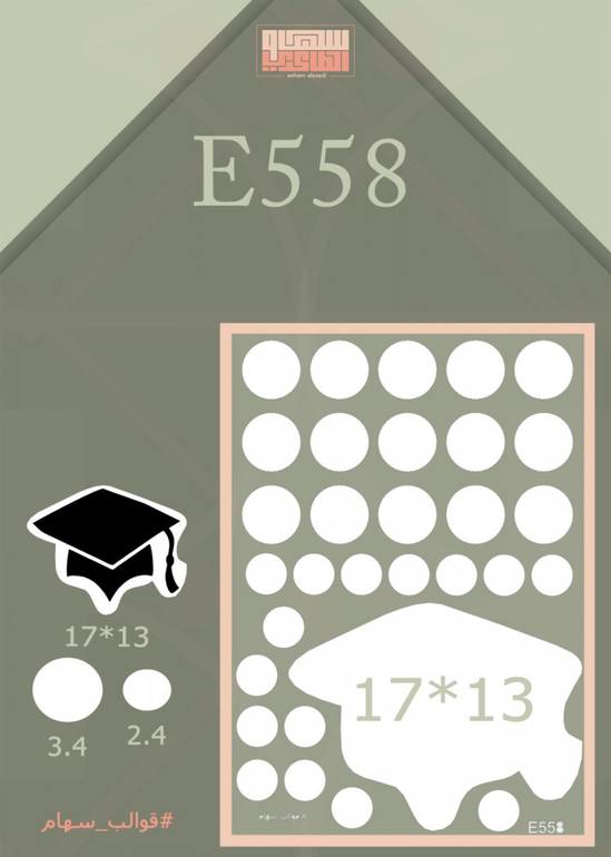 E558
