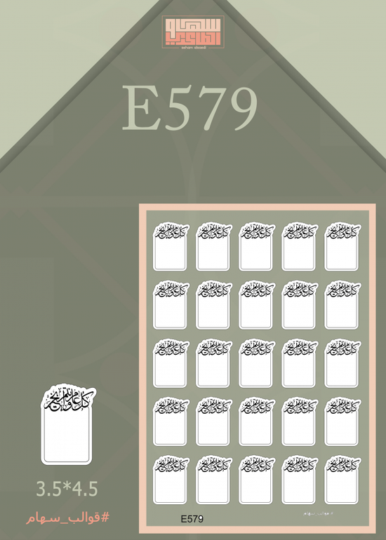 E579