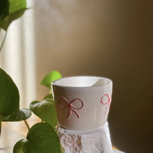 كوب فيونكه🎀