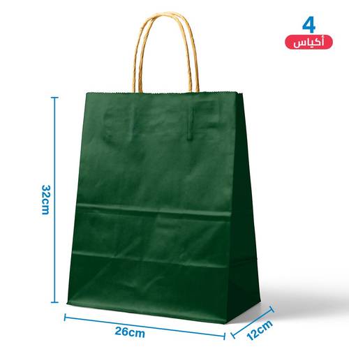 Large Green Paper Gift Bags 4 pcs