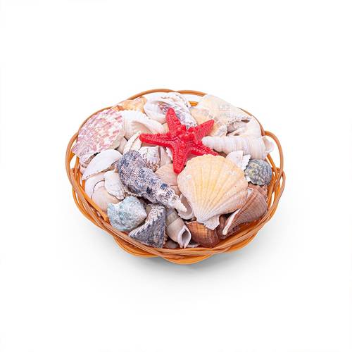 DARA Medium Shell Basket