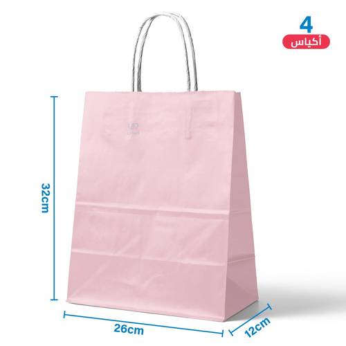 Large Pink Paper Gift Bags 4 pcs