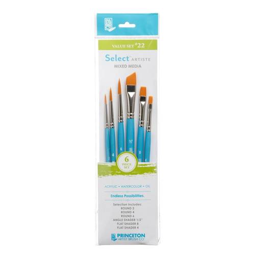 Princeton Paint Brush Set of 6 Value set 22