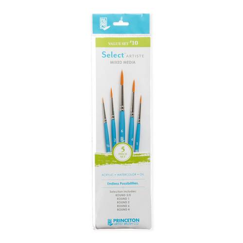 Princeton Paint Brush Set of 5 Value set 10