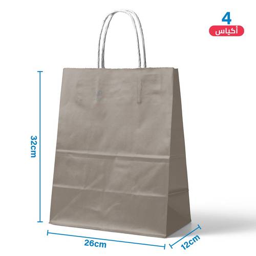 Large Gray Paper Gift Bags 4 pcs