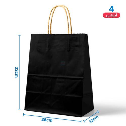 Large Black Paper Gift Bags 4 pcs