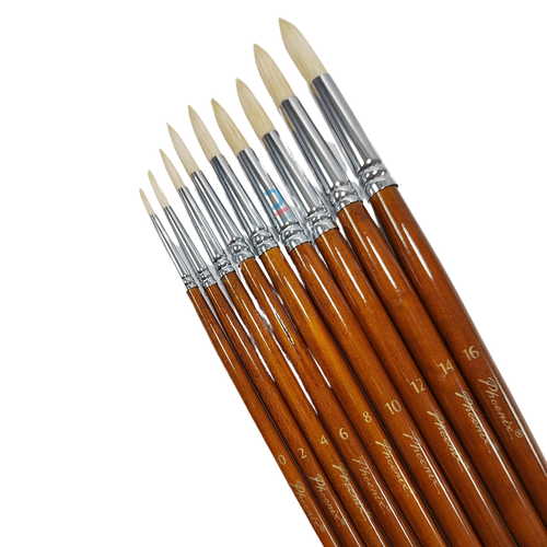 Phoenix Round Brush Bristle Hair Long Handle set 9pcs