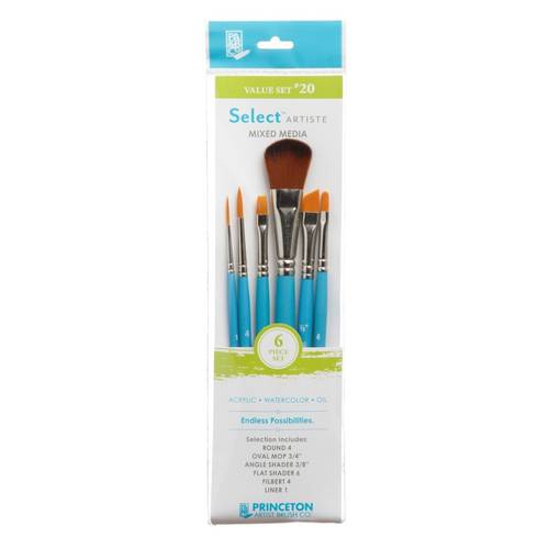 Princeton Paint Brush Set of 6 Value set 20