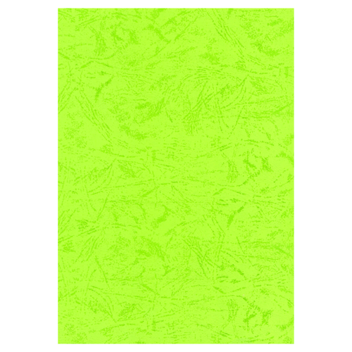 DARA , Embossed Card A4 Paper 220 gsm 25 Sheets Light Green