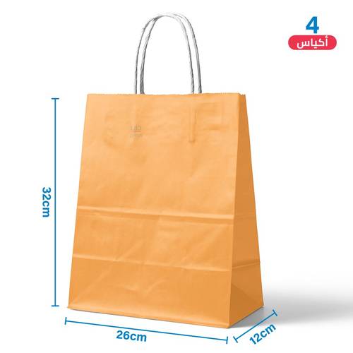 Large Orange Paper Gift Bags 4 pcs