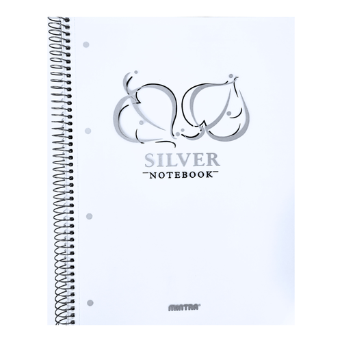دفتر ملاحظات سلك 100 ورقة Silver A4
