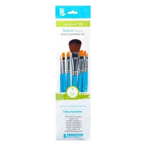 Princeton Paint Brush Set of 7 Value set 23