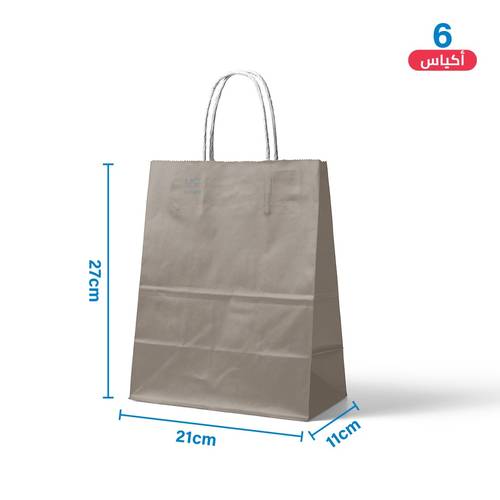 Medium Gray Paper Gift Bags 6 pcs