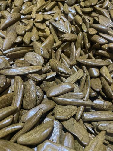 عود مالينو  محسن طبيعي