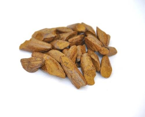 عود لاوسي