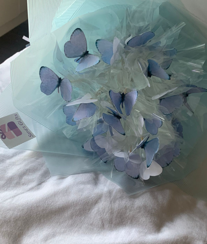 Butterflies
