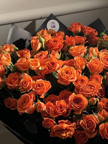 بيبي روز اورنج