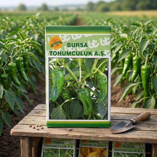 Anaheim Pepper Seeds - Grow Your Flavor