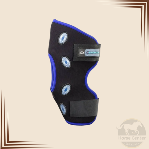 MAGNETIK للعرقوب