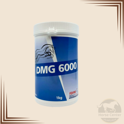 DMG 6000