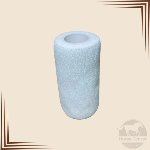 بندج سباق 2.5