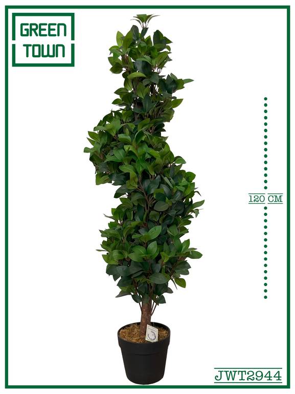 شجرة سرو ايطالى حلزونى 120 سم