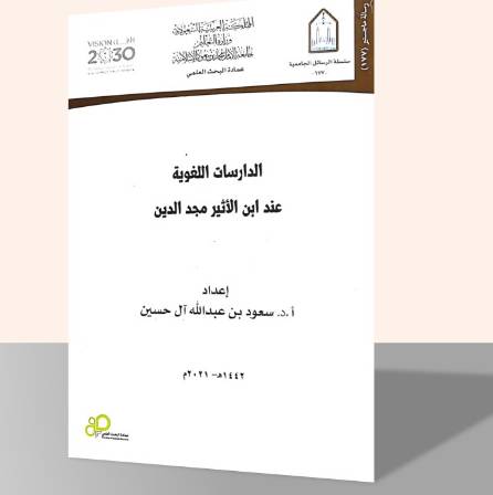 الدراسات اللغوية عند ابن الأثير مجد الدين