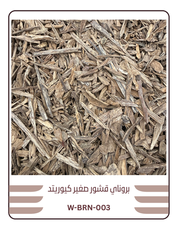 بروناي قشور صغير كيوريتد
