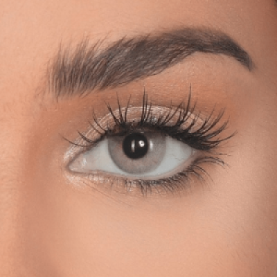 عدسات بيوتيس - Exotic Smokey Grey