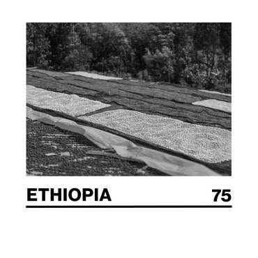 ETHIOPIA GUTITY NATURAL -250 G