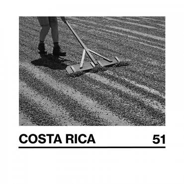 COSTA RICA (51) - 250G