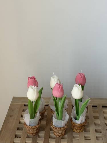 Single Tulip Basket 