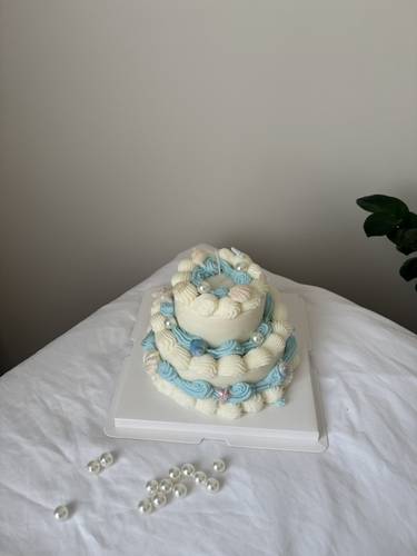 Sea Cake