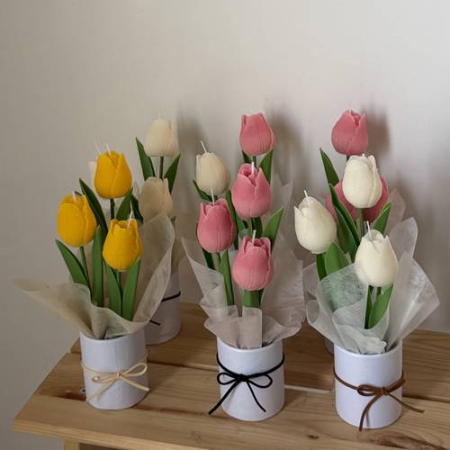 Tulip Trio