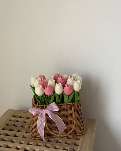 Tulip Garden
