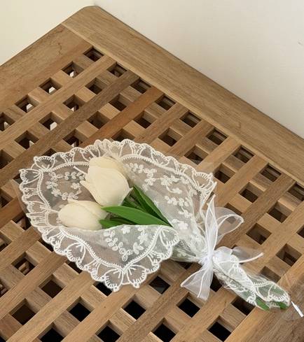 Soft tulips