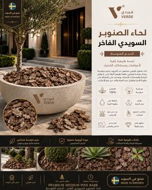 خشب ديكور