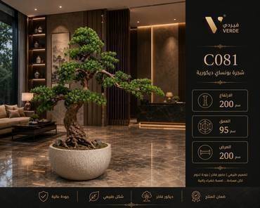 شجرة بونساي ديكورية C081