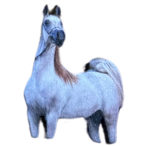 ملصق حديد لصق 3M خيل