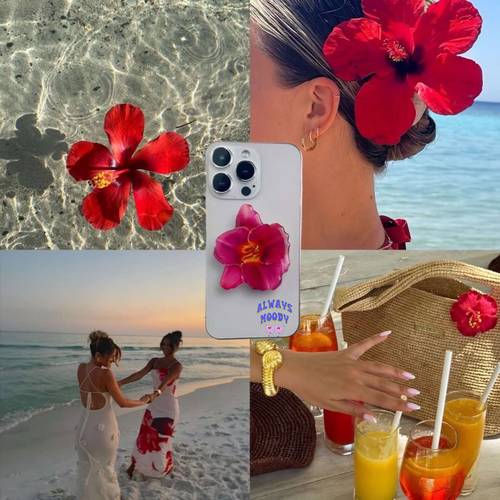 مسكة تلفون ورد فوشي