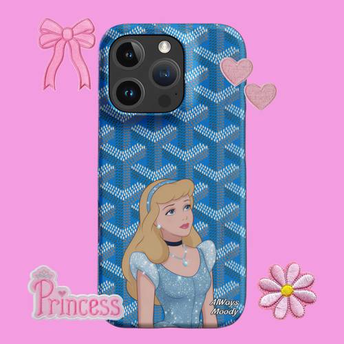   Princess Cinderella 