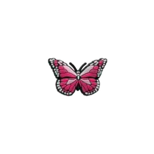 Pink Butterfly