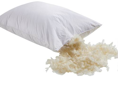 مخدة ريش طبية 